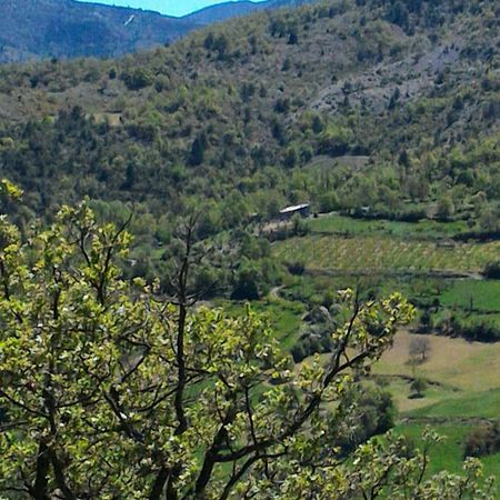 Ferme La Viste Βίλα La Roche-sur-le-Buis Εξωτερικό φωτογραφία