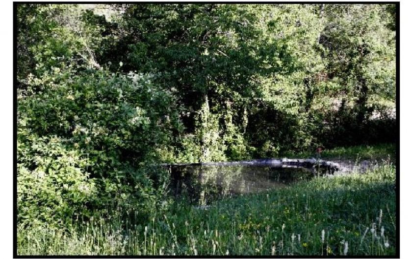Ferme La Viste Βίλα La Roche-sur-le-Buis Εξωτερικό φωτογραφία