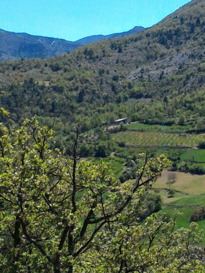 Ferme La Viste Βίλα La Roche-sur-le-Buis Εξωτερικό φωτογραφία